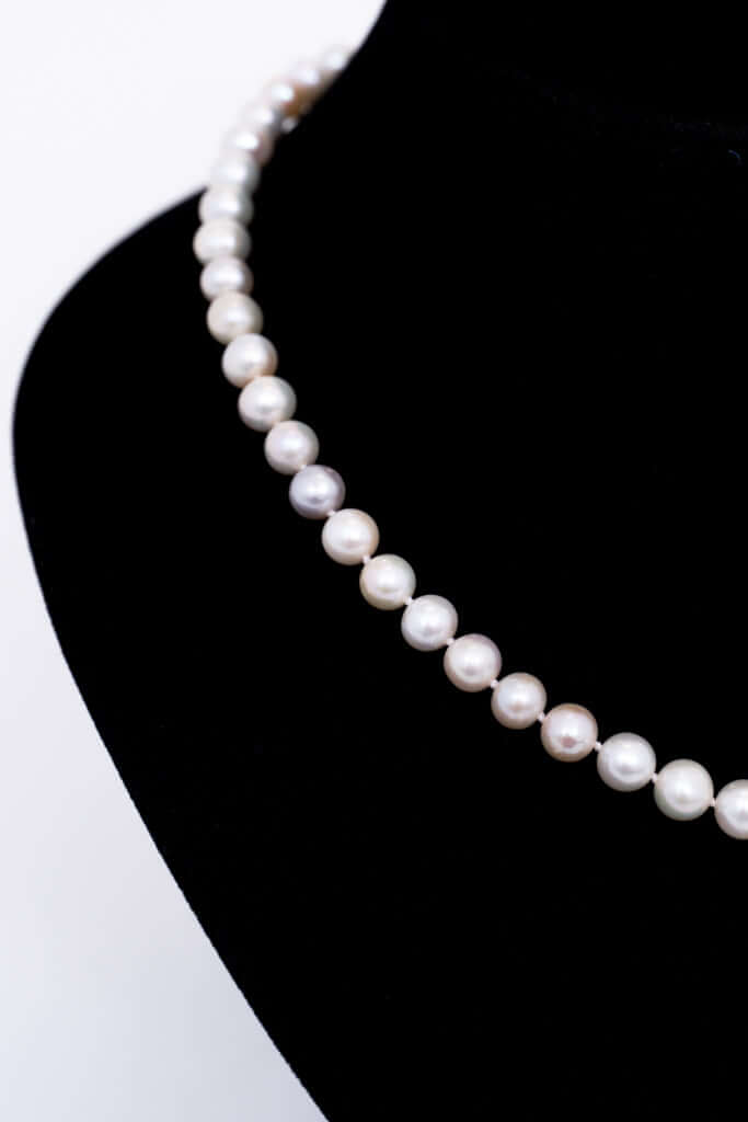 Close-up view of round cultured pearls on a necklace
