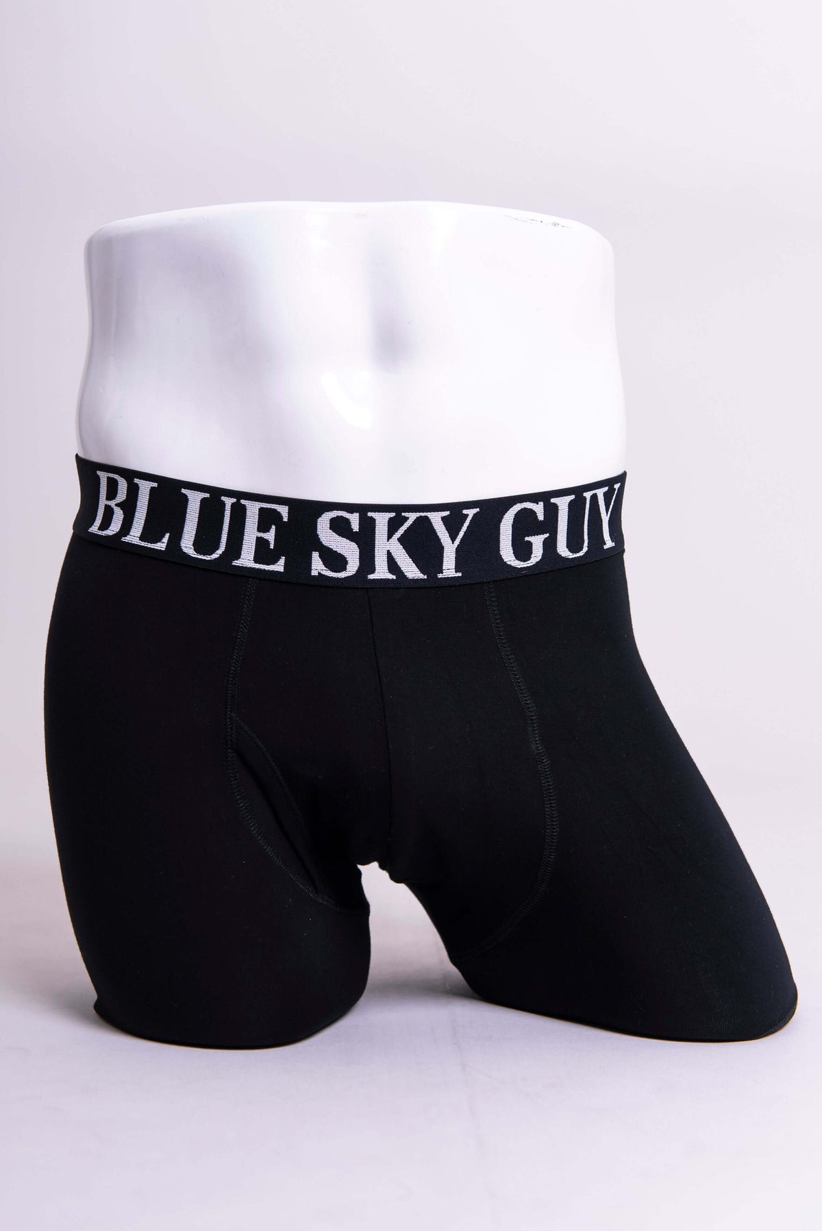 Front view of men's black bamboo boxer briefs with Blue Sky Guy waistband