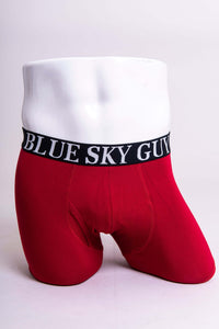 Front view of red bamboo boxer briefs with Blue Sky Guy waistband on mannequin