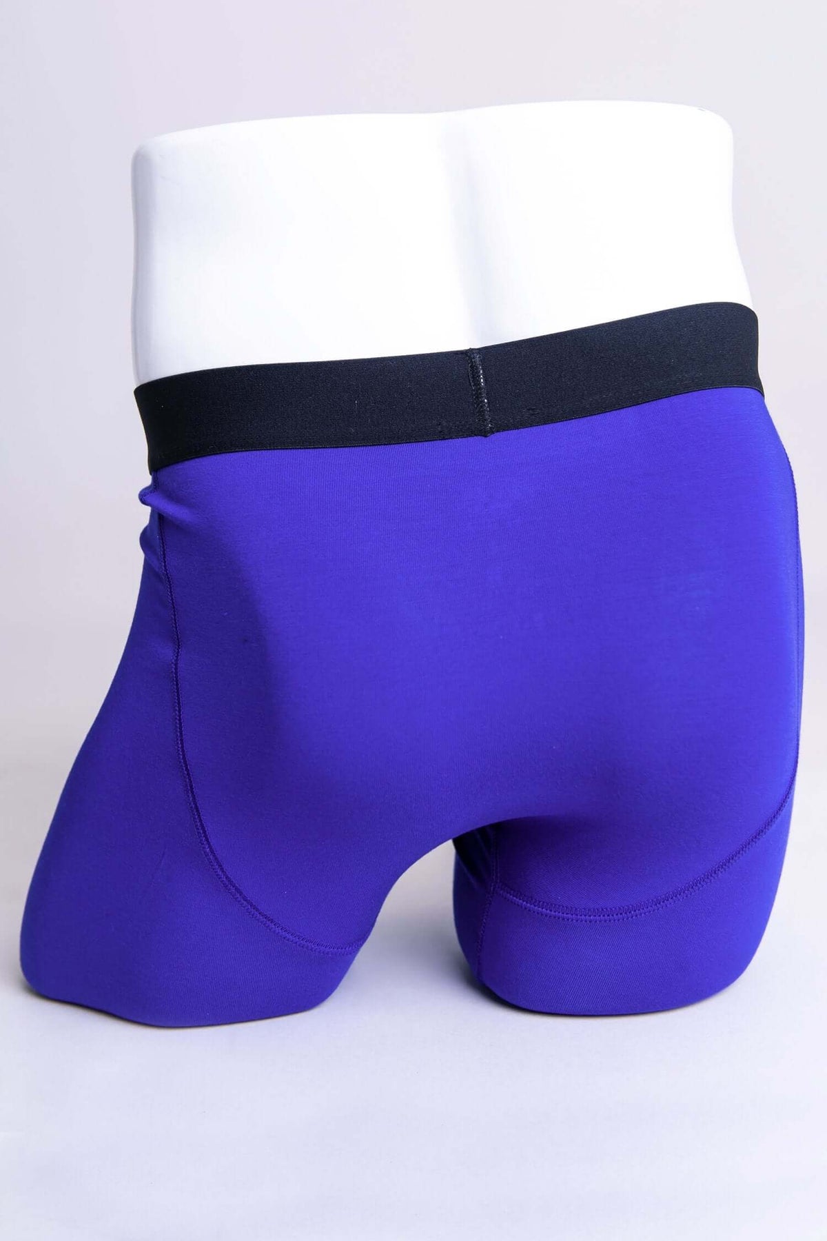 Rear view of blue bamboo boxer briefs with black waistband on mannequin